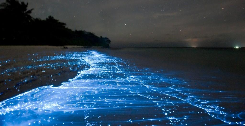 Get Wallpaper La Spiaggia Di Vaadhoo Si Illumina Di Notte Le Origini Di Questo For iPhone Free