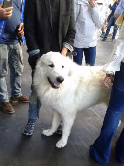 Belle Sebastien L Avventura Continua Foto 1 Di 8 Radio Monte Carlo