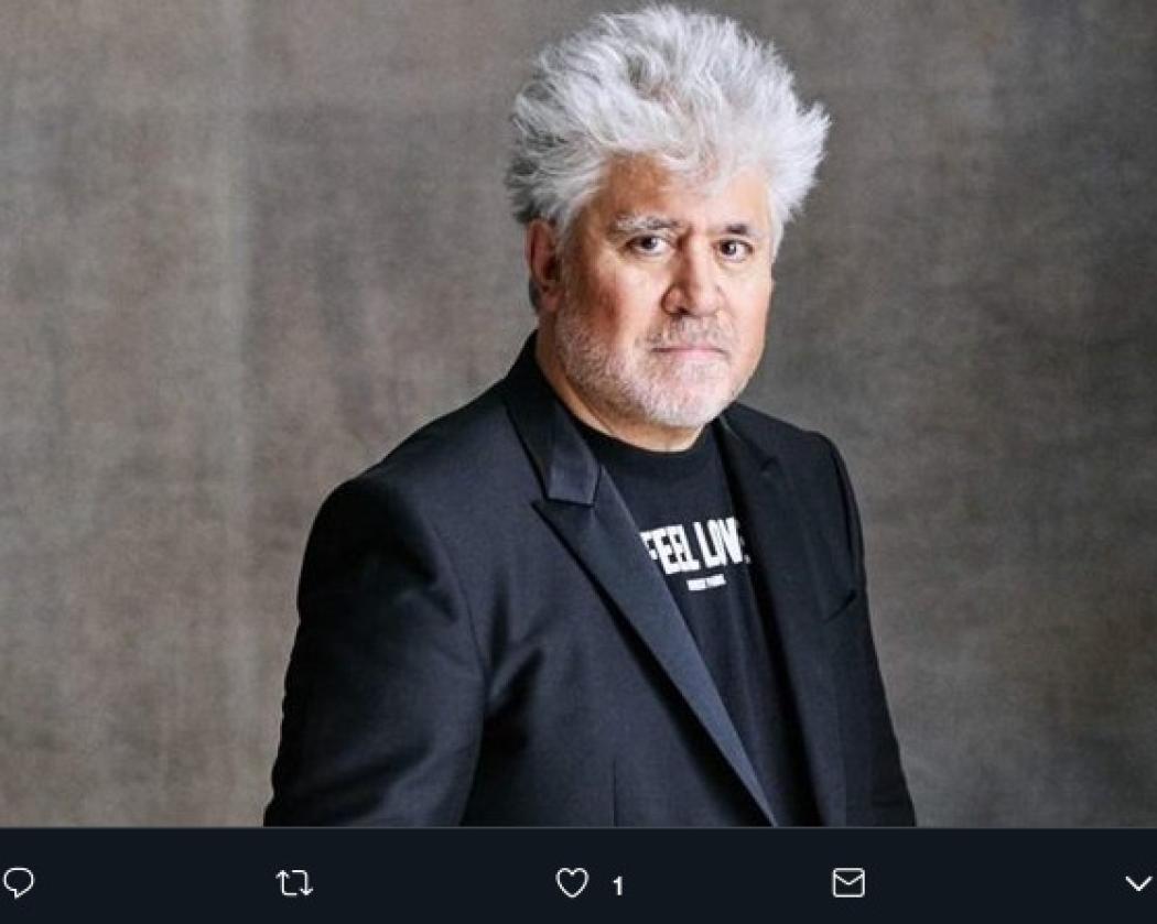 Risultati immagini per pedro almodovar