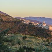 Bat Night: una notte alla scoperta dei pipistrelli