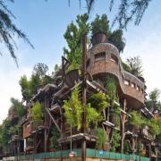 Una struttura abitativa simile a una foresta

 