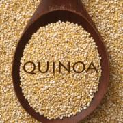 SAMANTHA BIALE Diet Coach, tutto sulla Quinoa