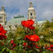 Concorso Internazionale di Bouquet 