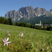 Cortina: gli appuntamenti 