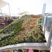 ANTONIO BERTOLOTTO Fondatore del MarcoPolo Enviromental Group, il concetto del tetto vegetale