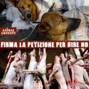 DAVIDE CAVALIERI Direttore di Radio Bau, petizioni contro il Festival di carne di cane a Yulin 