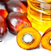 SAMANTHA BIALE Diet Coach, l’olio di palma