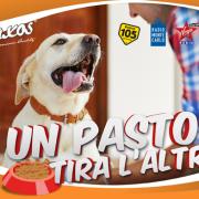 VINCENZO ADRAGNA, "Un pasto tira l'Altro" di Adragna Pet Food