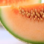 SAMANTHA BIALE Diet Coach, il melone