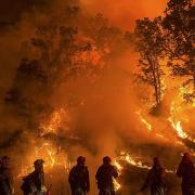 GUIDO OLIMPIO Inviato del Corriere della Sera da Washington, emergenza incendi in California: 20 mila sfollati 