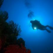 Alla scoperta delle bellezze del mare con il Concorso di Fotografia Sottomarina