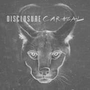 Caracal: il nuovo album dei Disclosure che fa riferimento al gatto selvatico