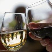  I 10 vini migliori di tutta l'Italia