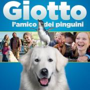 Il film "Giotto l'amico dei pinguini"