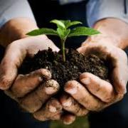 Si chiama Rural Hub ed aiuta gli startupper innovatori della terra