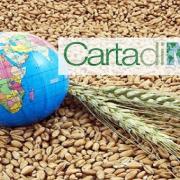 MAURIZIO MARTINA Ministro con le Politiche agricole, bilancio dell’Expo 2015 

