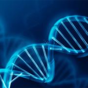 Il biotech italiano punta su BiovelocITA