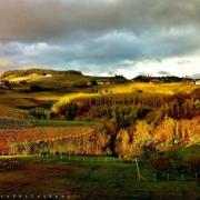 Autunno in Langa
