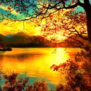 4 - Wav-E - THE PERFECT SUNRISE 