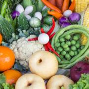 SAMANTHA BIALE Diet Coach, la dieta demitariana 