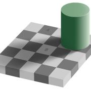 Il segreto delle 2 Sfumature di Grigio.