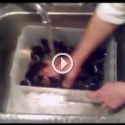 Trucco per pulire velocemente le cozze