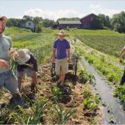 Agroalimentare, il futuro occupazionale dell'Italia