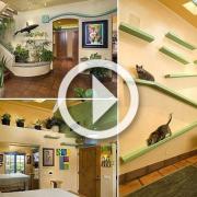 Sembra una normale villa, ma l'interno vi farà restare esterrefatti!