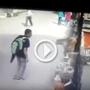 Il ragazzo provoca la scimmia. Incredibile la reazione dell'animale