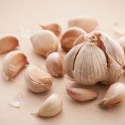 Tutti gli incredibili poteri dell’aglio