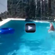 Finge di annegare. Ecco la reazione del cane