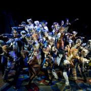 Cats – Let The Memory Live Again
