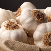 Ecco cosa accade se mangi aglio a stomaco vuoto