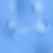 Vedi anche tu fluttuare queste ombre davanti ai tuoi occhi?