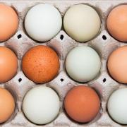 Uova bianche o marroni, quali sono le migliori? Finalmente la risposta!