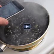 Ecco cosa succede se decidi di bollire il tuo iPhone nella Coca Cola 