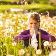 Primavera e allergie: ecco gli antistaminici naturali