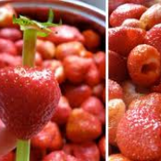 10 soluzioni che possono risolvere piccoli (e grandi) problemi