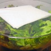 Ecco come conservare più a lungo l’insalata