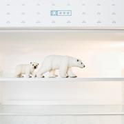 Tutti i segreti per un frigo… che vi aiuta a tenervi in forma!
