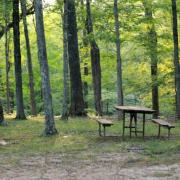 5 segreti per un pic nic davvero chic