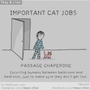 15 importanti lavori che i nostri gatti svolgono per noi