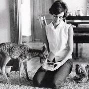 Maurizio DiMaggio - Audrey Hepburn e Pipino