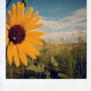 Signore e signori, la nuova Polaroid.