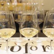 Vinòforum: lo spazio del gusto
