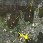 I giretti segreti dei gatti spiati dal GPS