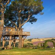 Il sogno diviene realtà: la casa sugli alberi più bella si trova in Italia