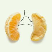 Queste illustrazioni cambieranno per sempre il tuo modo di vedere le piccole cose