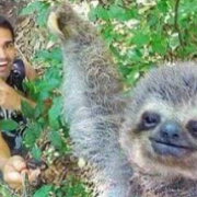 Selfie con il bradipo più felice del mondo