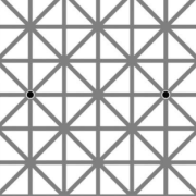 Nell'immagine ci sono 12 pallini, ma la mente permette di vederne solo due alla volta